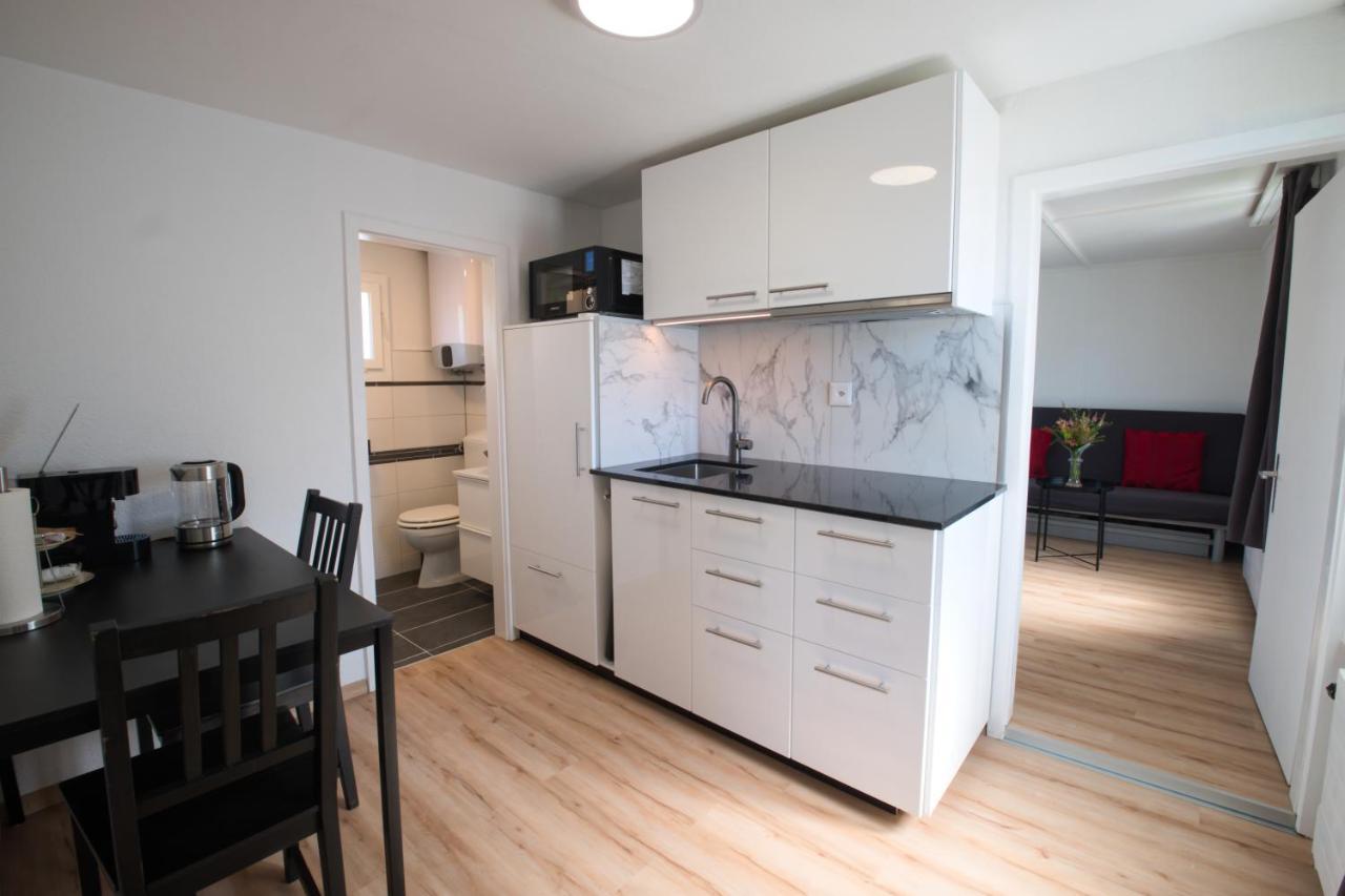 Lake Getaway Apartment With Private Entrance, Right On The Lake Constance Cycle Path, Barbecue Area, Free Wifi, Netflix And Free Bikes Salmsach Dış mekan fotoğraf