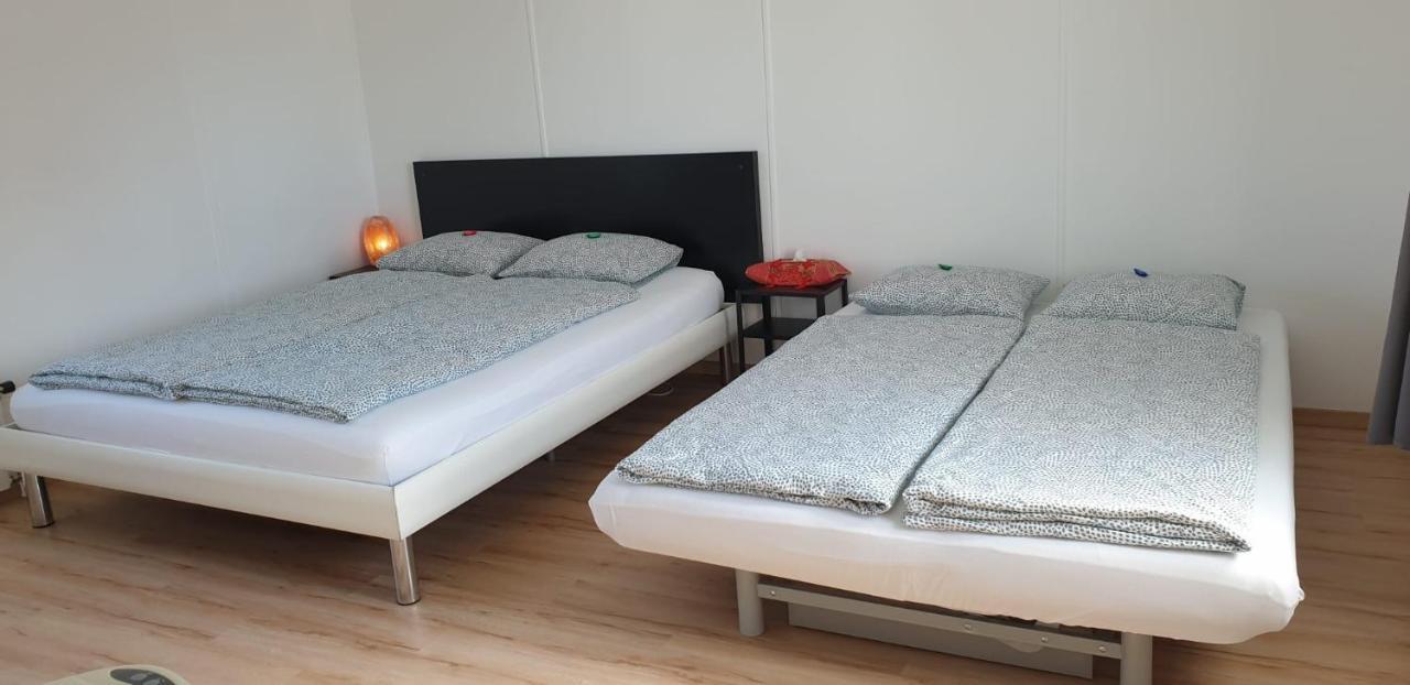 Lake Getaway Apartment With Private Entrance, Right On The Lake Constance Cycle Path, Barbecue Area, Free Wifi, Netflix And Free Bikes Salmsach Dış mekan fotoğraf